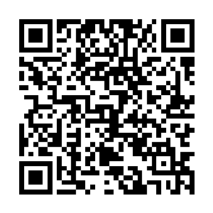 或者说自己内心根本就没有想过要找一个替代角色二维码生成