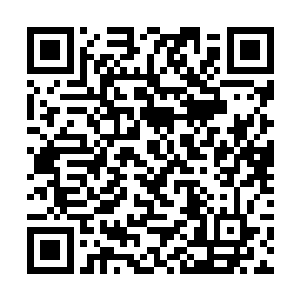 或者说蔡晴之所以拼命练武就是为了宁羽墨的这句话二维码生成