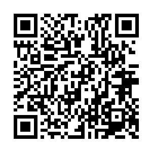 或者逐字逐句的查看着里面是否隐藏着什么秘密二维码生成