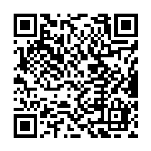 或许……当真只有那些个……最最顶级的强大存在二维码生成