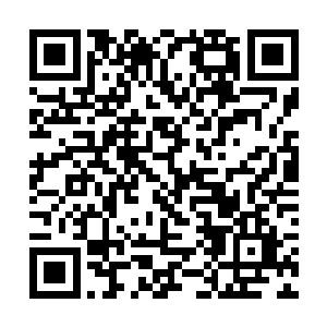 或许……能在那个红发女怪物的大招爆发之前离开吧二维码生成