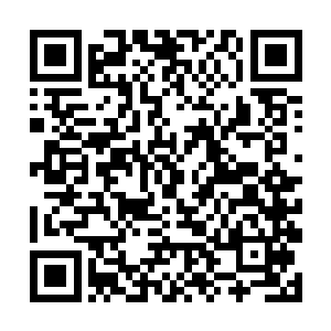 或许也和仙儿一样离开了这里去了一个神奇的世界吧二维码生成