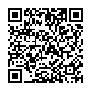 或许也是觉得他还没有进入内宫就显得罪了内宫弟子二维码生成