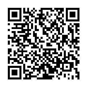 或许也正是因为进入了神级领域才有能力改变九界大陆的灵气二维码生成