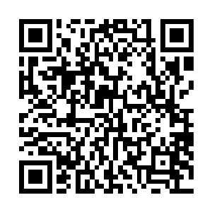 或许他们也意识到了陆志华和自己这种关系更适合来施压二维码生成