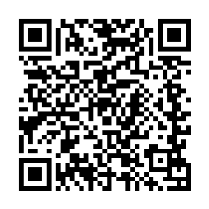 或许他们是从茶楼就在跟踪着我们……而我们从码头出海二维码生成