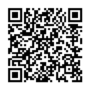 或许他们没有赵大叔和宋丹丹崔永元精湛的演技二维码生成