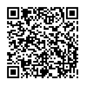 或许你们可以在更多的洪荒遗迹中找到更多休眠的族人以及他们的生命种子二维码生成