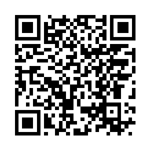 或许你们能查出发射器上的武器编号二维码生成