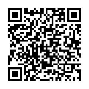 或许八品开天可以在那样的情况下助老祖一臂之力二维码生成