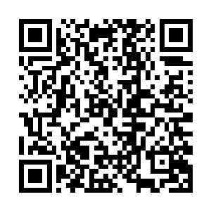 或许只有池枫对自己的一些想法有着比较深刻的认识二维码生成