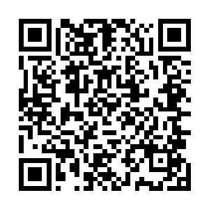 或许可以搭乘其中一艘航船前往比较接近圣魂大陆的群域二维码生成