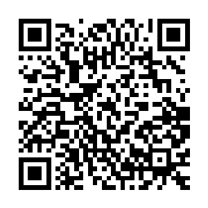 或许在她们看不见的情况下这场毁灭性的灾难已经开始蔓延了二维码生成