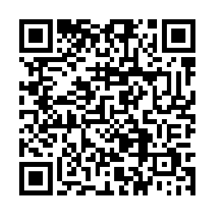 或许在那个时代这些进化者和超脱者分身互相博弈二维码生成