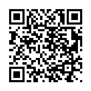 或许它们就是如此单纯地相信着人们二维码生成