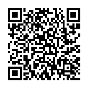 或许就只得当年的计策南北两大至尊的终极之战才堪比拟二维码生成