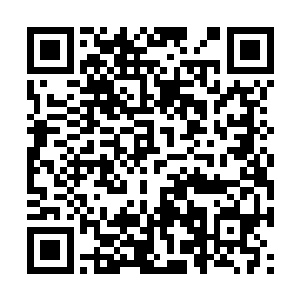 或许就只有跟瑰洱是双魂一体骨皇才有可能知道了二维码生成