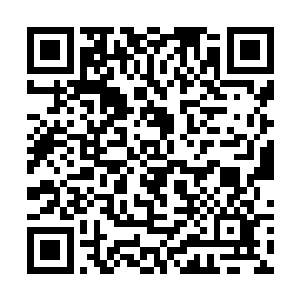 或许就在类似于这种有着特别禁阵护持的修炼洞府中二维码生成