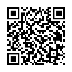 或许我能够将基德与罗宾融合起来二维码生成