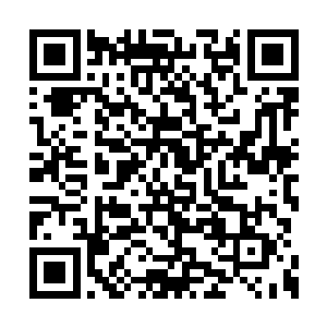 或许是你母亲不想让你的事业因为她而受到连累二维码生成
