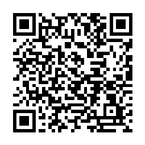 或许是因为大漩涡附近盘踞了太多的地底生物的缘故二维码生成