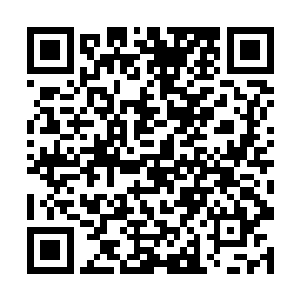 或许是因为新的冥府神祗黎明之主对圣光的重新诠释二维码生成