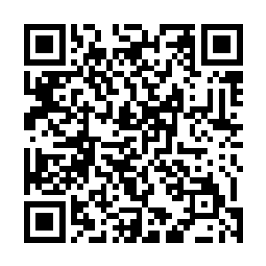 或许是由于种族天赋的限制――毕竟他们不能快速地移动二维码生成