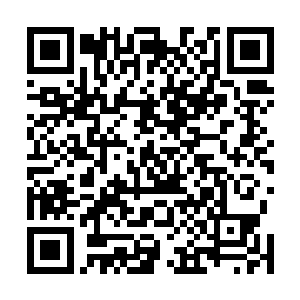 或许是这大量的命运点数一下子拥入让系统有了新的动力二维码生成