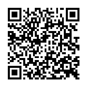 或许杀掉白龙天尊……真的对白龙天尊是一件好事二维码生成