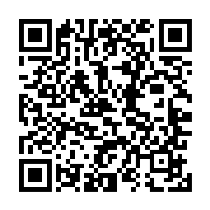 或许根本发现不了督宰大人这个时候的刹那间的那点迟疑二维码生成