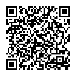 或许用欧洲职业足球联赛的定律来形容极为合适――投入重资的不一定能获奖二维码生成