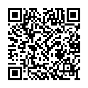 或许皇上见他们果然把太子找回去了心情会好点二维码生成