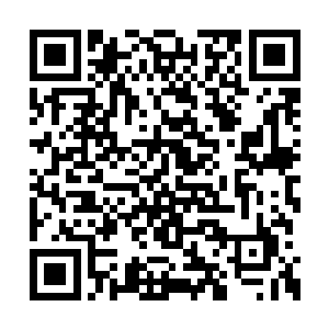 或许真的可以跟他这样的强者拼上一个势均力敌二维码生成