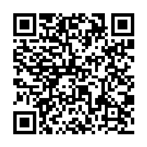 或许系统想要告诉她的是为什么那个女郎会有恃无恐二维码生成