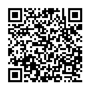 或许费恩家族以为掌握着圣赫纳城还有几万战士二维码生成