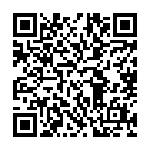 或许达到了宗师级也说不定……从这些简单的照片来看二维码生成