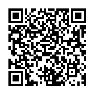 或许重新回到自己一开始来到的地方是对这几十年的一个回顾吧二维码生成