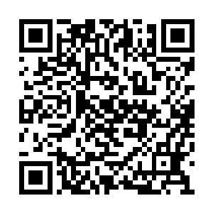 或许陆为民是乐见沈君怀能当这个常务副市长的二维码生成