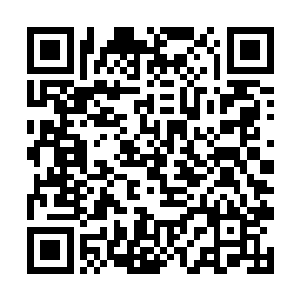 战乱以后是加入过一个库尔德人的松散女子战斗队伍二维码生成