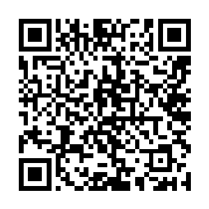 战力还是人望都比不上他没有晋阶战将的二哥赵君弘二维码生成