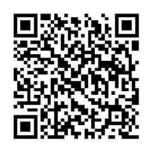 战场上所有人都看到了比刚才魔法美少女华丽登场二维码生成