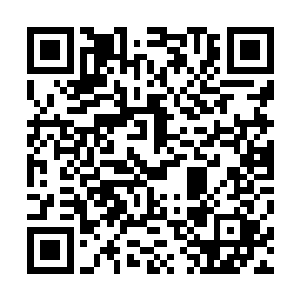 战场相关的任务球的数量已经达到了所有任务球总量的七成~二维码生成