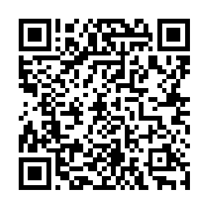 战术村的这个部分完全再现了白宫方圆2公里的华盛顿街景二维码生成