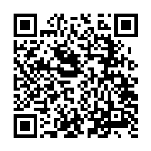 战队每个月都能从修罗斗场中领取一百枚标准晶核二维码生成