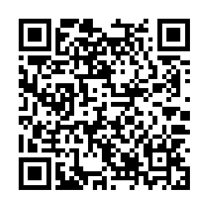 戚家也渐渐地把他们收入到戚家的内圈实力范围内二维码生成