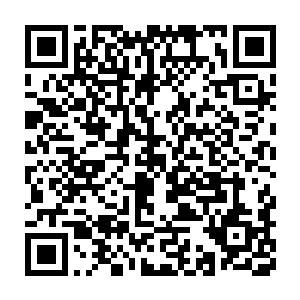 戚成林此刻正带着戚家的一些小辈准备去联系上野大将军家的小公主二维码生成