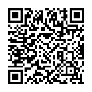 房子周围杂草丛生……一个不好的预感浮上心头二维码生成