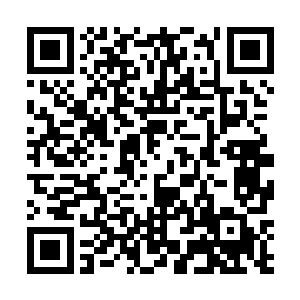 房间里的穿沙甲们全神贯注地盯着那个丑陋的畸形伙伴二维码生成