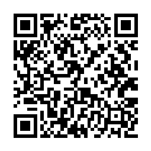 房间里的黑盾胡蜂已经把中华小蜜蜂给吞噬干净二维码生成