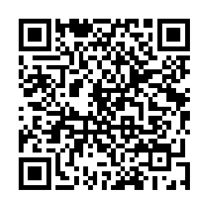 房间里面唯一比较特殊的地方就是墙壁上挂着很多的油画二维码生成